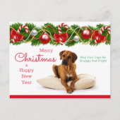 Carte de Noël Rhodesian Ridgeback (Devant)