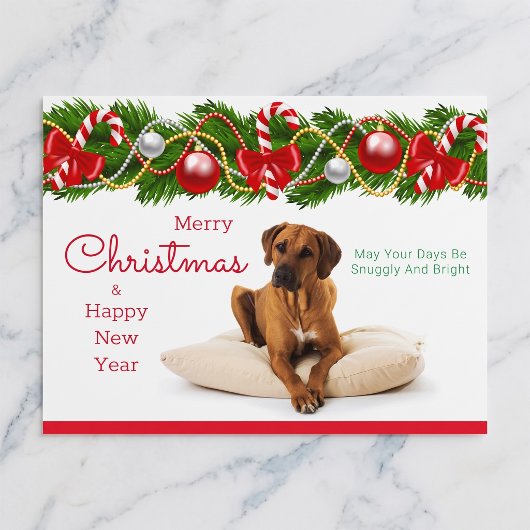 Carte de Noël Rhodesian Ridgeback