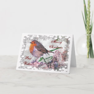 Carte de Noël Robin Festif
