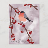 Carte de Noël Robin personnalisée (Devant)