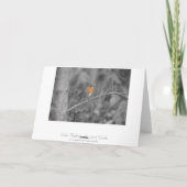 Carte de Noël Robin Redmamin (Dos)