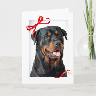 Carte de Noël Rottie