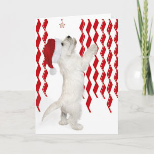 Carte de Noël Rouge, Blanc et Zigzags Westie Pup