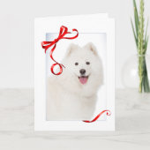 Carte de Noël Samoyed (Devant)