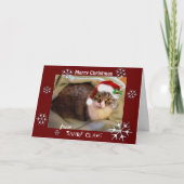 Carte de Noël "Sandy Claws" (Devant)