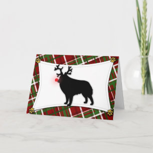Carte de Noël Schipperke Reindeer