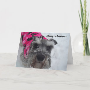 Carte de Noël Schnauzer