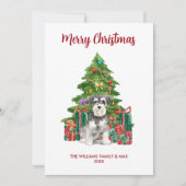 Carte de Noël Schnauzer miniature (Devant)