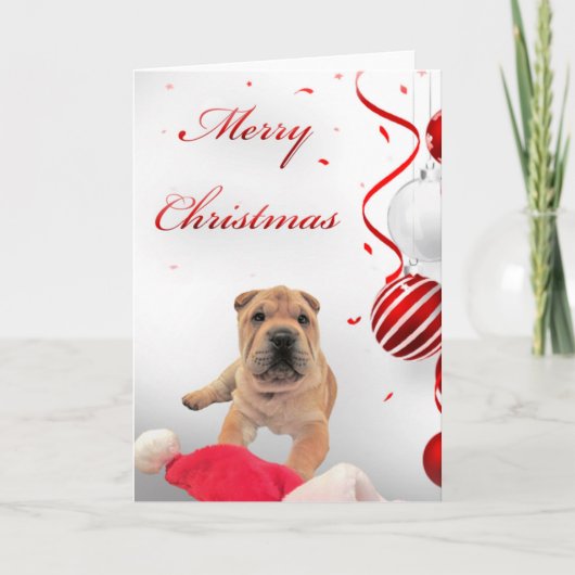 Carte de Noël Shar-Pei (Devant)