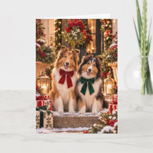 Carte de Noël Sheltie Duo Mistletoe