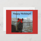 Carte de Noël Shetland Pony (Devant / Derrière)