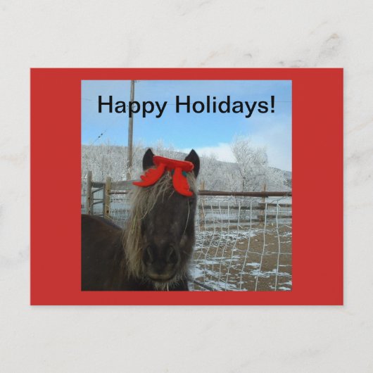 Carte de Noël Shetland Pony (Devant)