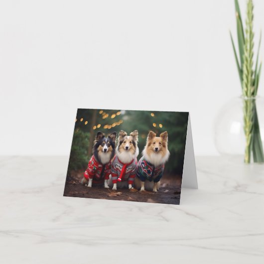 Carte de Noël Shetland Sheepdogs (Devant)