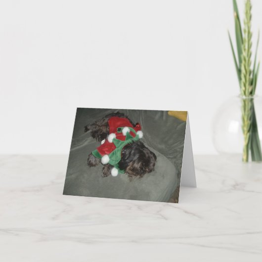 Carte de Noël Shih Tzu (Devant)