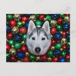 Carte de Noël Sibérienne Husky