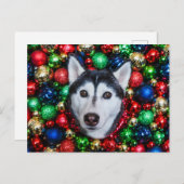Carte de Noël Sibérienne Husky (Devant / Derrière)