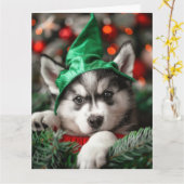 Carte de Noël Sibérienne Husky Elf Puppy (Fleur jaune)
