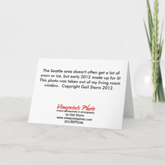 Carte de Noël Silver Thaw (Dos)