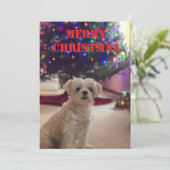 Carte de Noël simple et audacieuse (Debout devant)