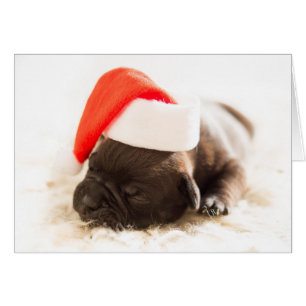 Carte de Noël Sleepy Bulldog Puppy