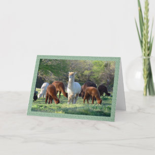 Carte de Noël Sleigh Belle