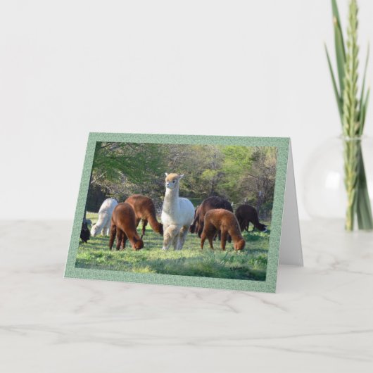 Carte de Noël Sleigh Belle (Devant)