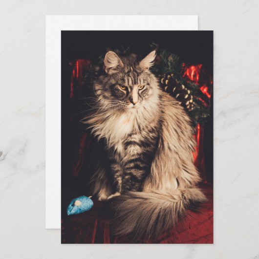 Carte de Noël Smilla V1 (Devant / Derrière)