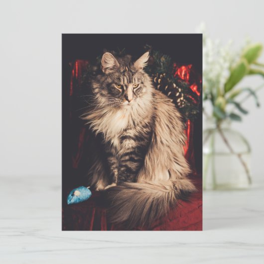 Carte de Noël Smilla V1 (Debout devant)