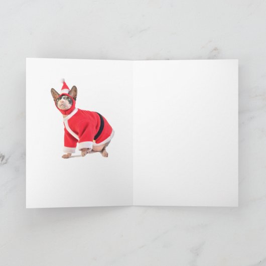 Carte de Noël Sphynx Cat (Intérieur)