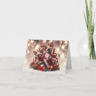Carte de Noël Sphynx Kittens