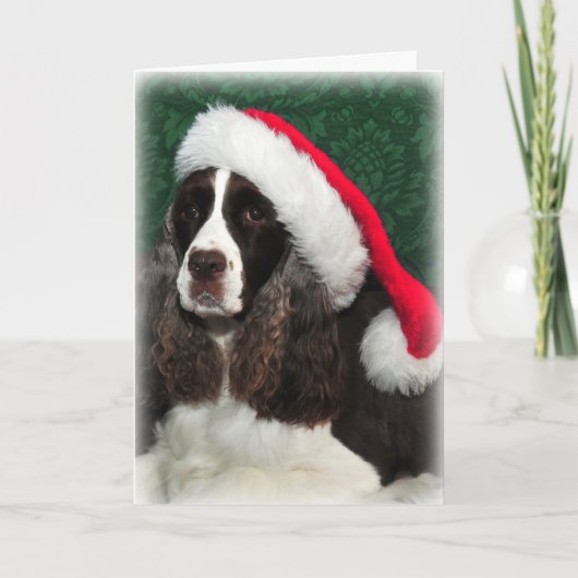 Carte de Noël Springer Spaniel (Devant)