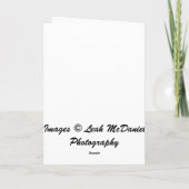 Carte de Noël St. Bernard (Dos)