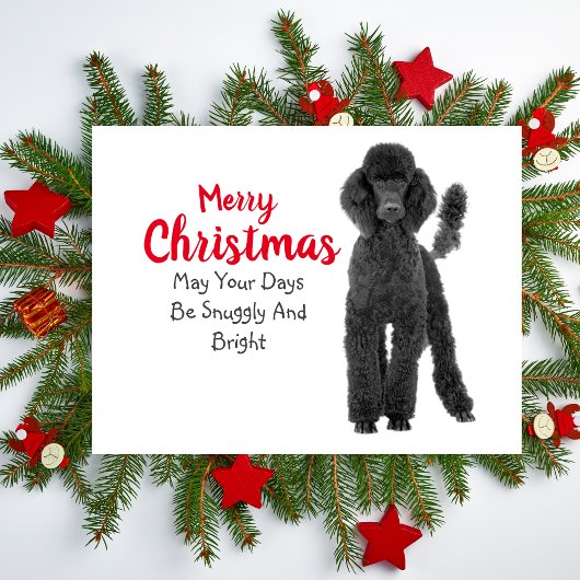 Carte de Noël Standard Poodle