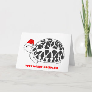 Carte de Noël Star Tortoise (elf casquette)