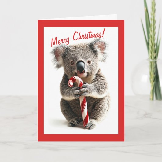Carte de Noël sucre de canne Koala (Devant)