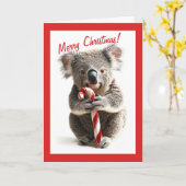 Carte de Noël sucre de canne Koala (Fleur jaune)
