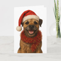 Carte de Noël super mignonne de Border Terrier