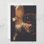 Carte de Noël Tarzan V1 (Devant)