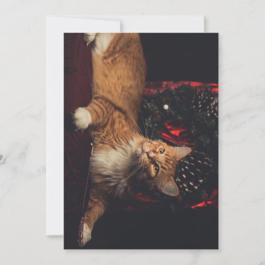 Carte de Noël Tarzan V1 (Devant)