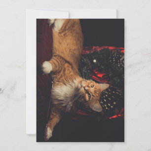 Carte de Noël Tarzan V1