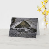 Carte de Noël "The Living Rock" (Fleur jaune)