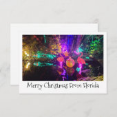 Carte de Noël tropicale (Devant / Derrière)