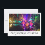 Carte de Noël tropicale<br><div class="desc">Flamingo Christmas lights for a whimsical tropical holiday card. Texte can moi edited. Please email me if you need help rachhphotography.com@gmail.com</div>