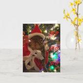 Carte de Noël Tumbleweed (Fleur jaune)