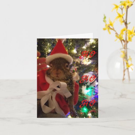 Carte de Noël Tumbleweed (Fleur jaune)