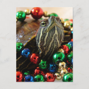 Carte de Noël Turtle