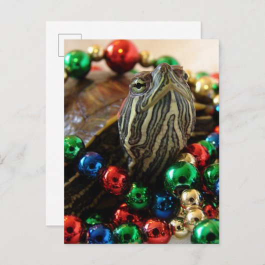 Carte de Noël Turtle (Devant / Derrière)