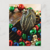 Carte de Noël Turtle (Devant)