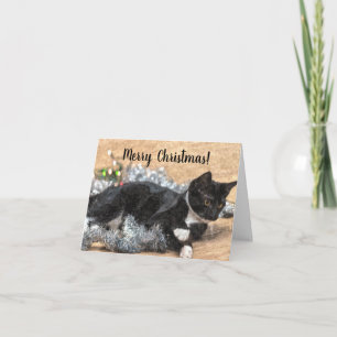 Carte de Noël Tuxedo Kitten Tinsel et Lumières