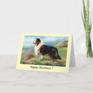 Carte de Noël - Un Scotch Collie